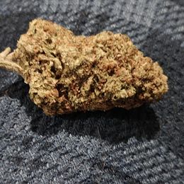 Tangie Haze THCA Flower - Fresh Bros