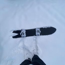 Dart Plus | Snowboards | KORUA Shapes