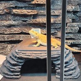 Zen Corner Cave with 7