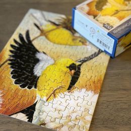 Cornell Birds Mini Puzzle Collector's Set - Set of 7 Mini Puzzles