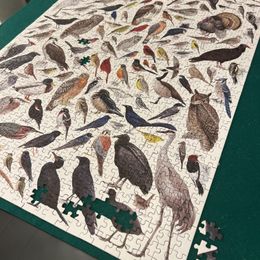 Birds of Eastern/Central North America - 1000 Piece Cornell Lab