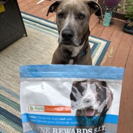 Rabbit Jerky Treats for Dogs and Cats