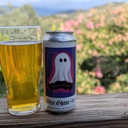 OLD SCHOOL IPA GOODNESS