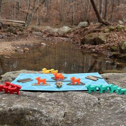 Customer photo from the review "This is an inventive game with bright colors and where long-term strategies are developed. The rules are simple enough for my 6 year old to…"
