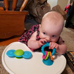 Customer photo from the review "Our daughter is just getting to the age for really playing with these, but they're clearly very well made and designed. Very impressed."