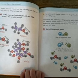 Customer photo from the review "Thanks to his experience with Real Science-4-Kids last school year, my son was looking forward to starting Book 3. The books are well writt…"