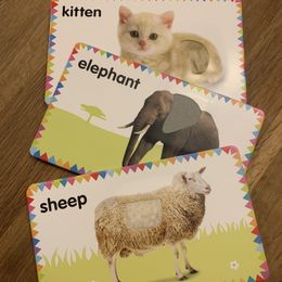 Customer photo from the review "Flash Cards for Kinetic Babies!"