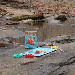 Customer photo from the review "This is an inventive game with bright colors and where long-term strategies are developed. The rules are simple enough for my 6 year old to…"