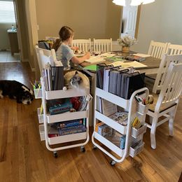Customer photo from the review "Love the curriculum kits!"