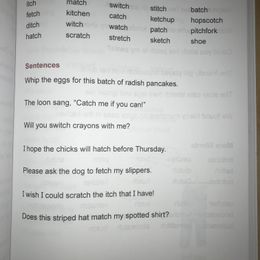 Customer photo from the review "Great curriculum, disappointing execution"