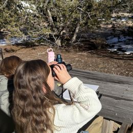 Customer photo from the review "Great and fun resource!
My kids enjoy to explore the ranch and drawing the animals we found there. Happy experience!"