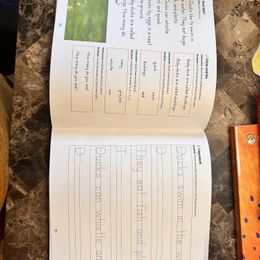 Customer photo from the review "Great curriculum"