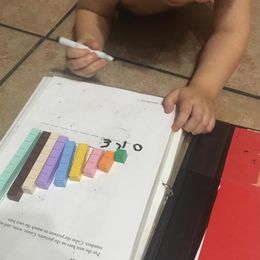 Customer photo from the review "Math-U-See Primer"