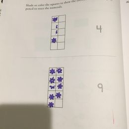 Customer photo from the review "Math-U-See Primer"