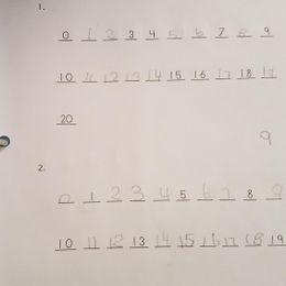 Customer photo from the review "Math-U-See Alpha"