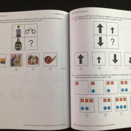 Customer photo from the review "Great tool for developing critical thinking!"