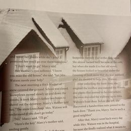 Customer photo from the review "Mostly Good"