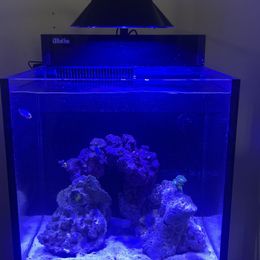 Red Sea ReefLED 50 LED Light Shade – Printed Reef