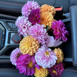 Dahlia Bulbs (Ball & Decorative) - Old Rose Mix