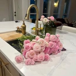 Ranunculus Bulbs - Chamallow