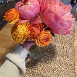 Ranunculus Bulbs - Amandine Salmon