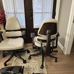 I've got a bad lower back and am on the path to a 5 disc fusion. I've been through every imaginable desk chair and always end up with pain.…