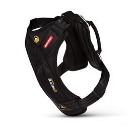 Dog Car Harness | Crash-Tested Step In Dog Harness – EzyDog USA