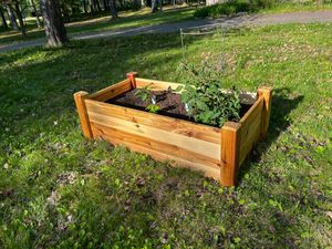 Raised Garden Bed – 24” x 48” Cedar Planter – Gronomics