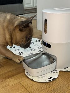 Smart Pet Feeder