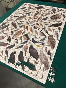 Birds of Eastern/Central North America - 1000 Piece Cornell Lab