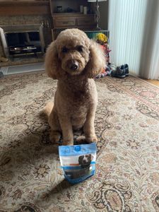 Rabbit Jerky Treats for Dogs and Cats