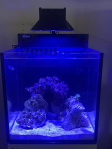 Red Sea ReefLED 50 LED Light Shade – Printed Reef