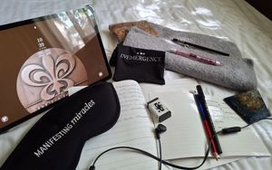 Best mask ever 🌸⛩️🩷