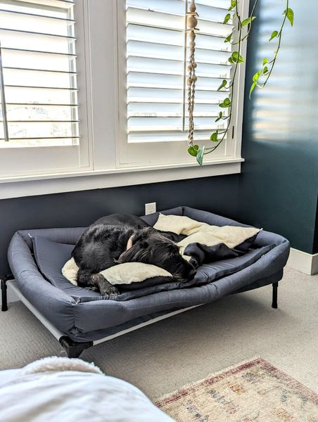 Customer photo from Angelique C.'s review of The Everyday Bed