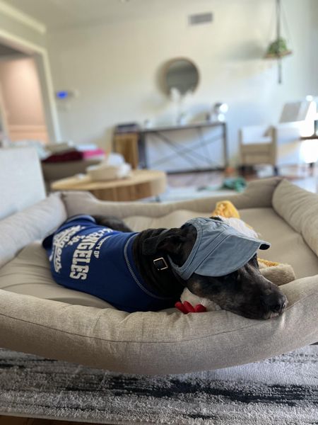 Customer photo from Janet L.'s review of The Everyday Bed