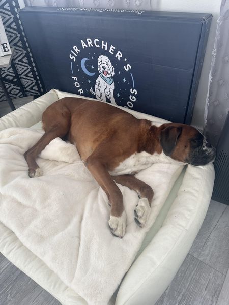 Customer photo from Kelly G.'s review of The Everyday Bed