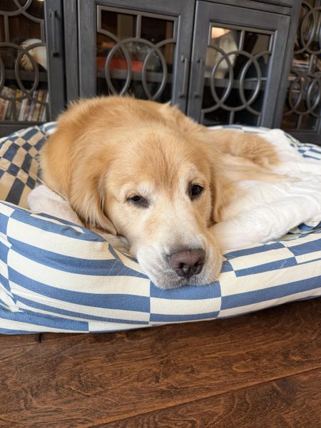 Customer photo from Duke G.'s review of The Everyday Bed