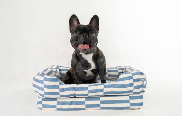 Customer photo from Victor I.'s review of The Everyday Bed